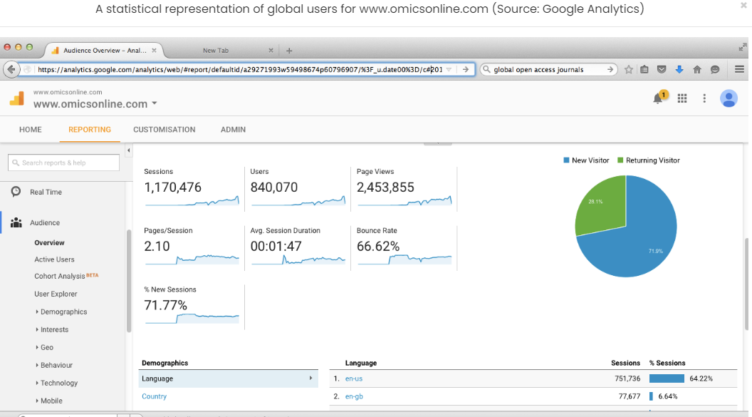Visitor Analysis Report